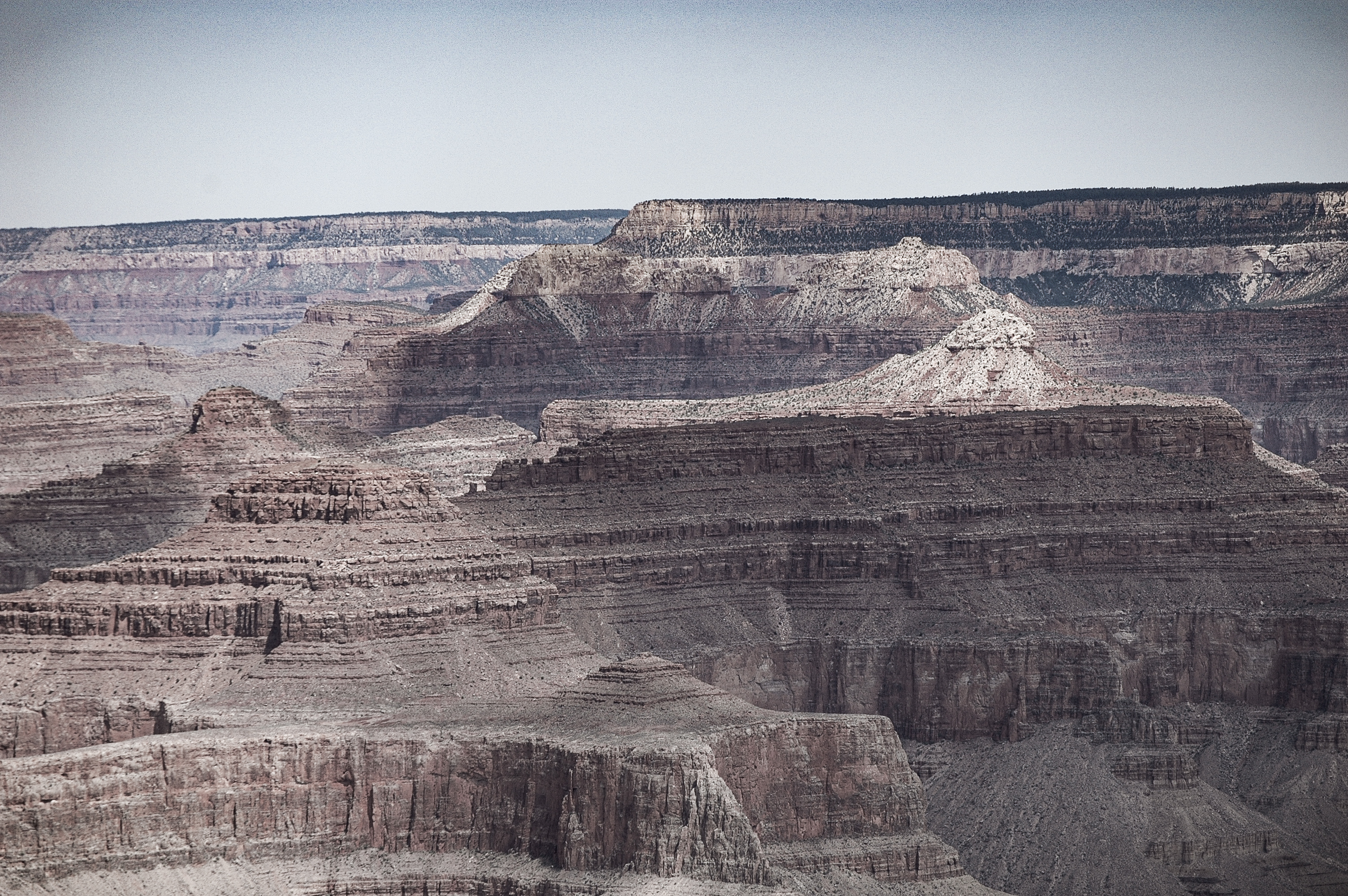 Muted Vista - Grand Canyon photograph